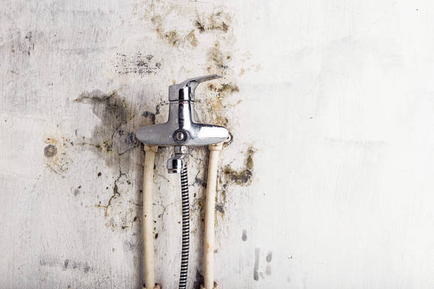 Best Residential Mold Removal  in Tarrytown, NY