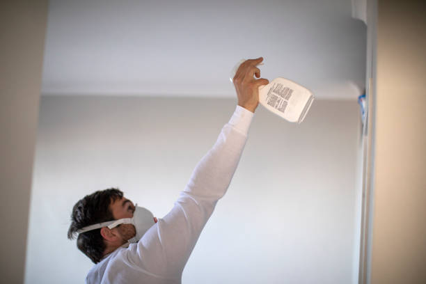 Best Mold Inspection  in Tarrytown, NY