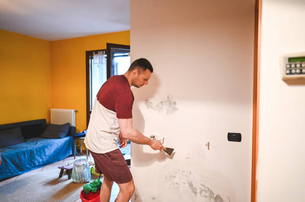 Best Best Mold Removal Companies  in Tarrytown, NY
